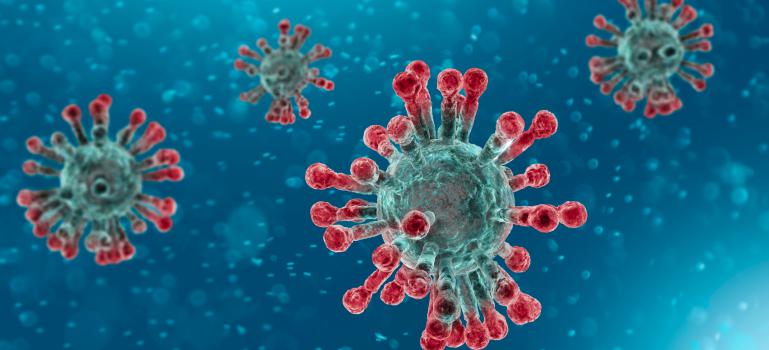 logo servizo Coronavirus - News dal Ministero dell'istruzione